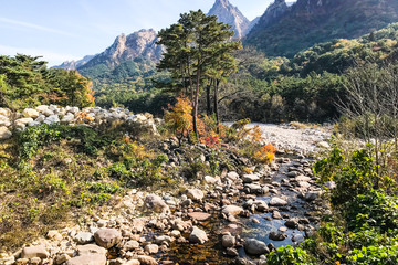 Sticker - mountain river in Seoraksan National Park