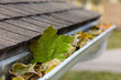 © JJ Gouin - Closeup of house rain gutter clogged with colorful leaves fall from trees in fall. Concept of home maintenance and repair