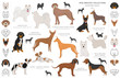 Hunting dogs collection isolated on white clipart. Flat style. Different color, portraits and silhouettes