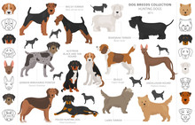 Hunting Dogs Collection Isolated On White Clipart. Flat Style. Different Color, Portraits And Silhouettes
