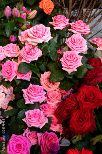 Natural flower background