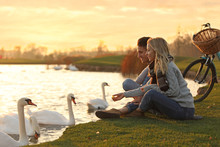Young Couple Near Lake With Swans At Sunset. Perfect Place For Picnic
