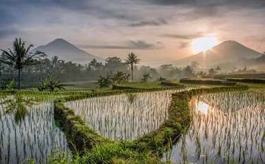 Panoramic view, 2 big mountains with amazing nature. Display landscape at sunrise