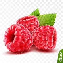 3d Realistic Isolated Vector Whole And Slice Of Raspberry With Leaves, Editable Handmade Mesh