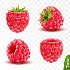 3d realistic transparent isolated vector set, whole and slice of raspberry with green tail