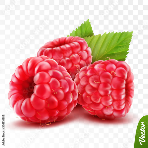 Fotografía 3d realistic isolated vector whole and slice of raspberry with leaves, editable