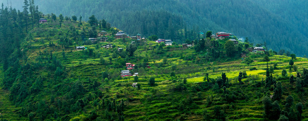 Wall Mural - a roadside view from the road to shimla, himachal pradesh, india