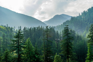 Wall Mural - a mountain valley, jibhi, tirthan valley, himachal pradesh, india