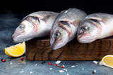 Fototapeta Tęcza - Fresh sea bass fish and lemon, olive oil, salt, pepper on cutting board on blue grunge background. Top view