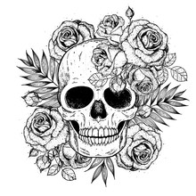 Skull And Flowers Hand Drawn Illustration. Tattoo Vintage Print. Skull And Roses.