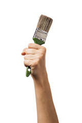 A raised female hand holds a brush for painting various surfaces. Worker with tool isolated on white background