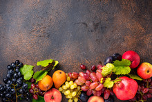 Various Autumn Fruits. Harvest Concept