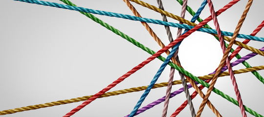 Poster - Connected Diversity