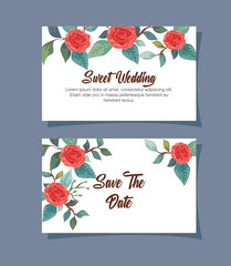 Canvas Print - set wedding invitation cards with flowers decoration vector illustration design