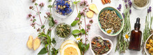 Various Kinds Of Herbal Tea