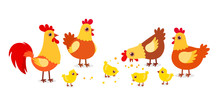 Happy Cute Chicken Farm Poultry On Village