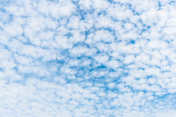 Wall Mural - Background A lot of beautiful Small Fluffy Clouds with blue sky in the morning