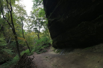 Wall Mural - Nature Hike WaterFall