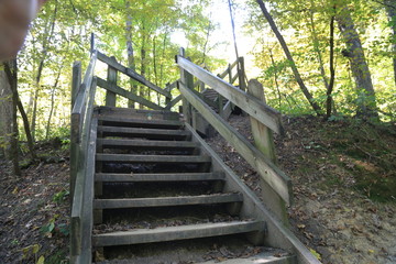 Poster - Nature Hike with Stairs and Waterfall