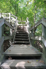 Poster - Nature Hike with Stairs and Waterfall