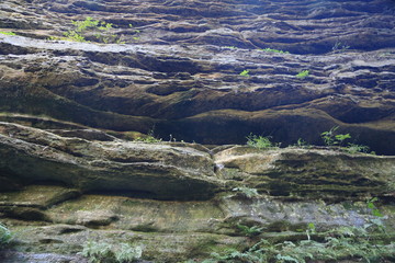 Wall Mural - Nature Hike with Stairs and Waterfall