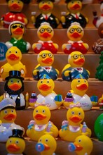 Rubber Duckies Free Stock Photo - Public Domain Pictures