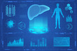 © lembergvector - Human liver futuristic medical hologram vector illustration. Liver 3d model screening virtial reality interface. Diagrams, pie chart infographics. vr and ar medicine and healthcare icons.