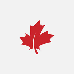 maple leaf logo template vector icon illustration, maple leaf vector illustration, canadian vector s