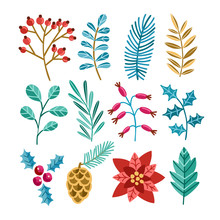 Winter Christmas Plants Illustrations Set. Poinsettia, Spruce, Pine, Cedar, Mistletoe. Plant Branches, Flora, Foliage.