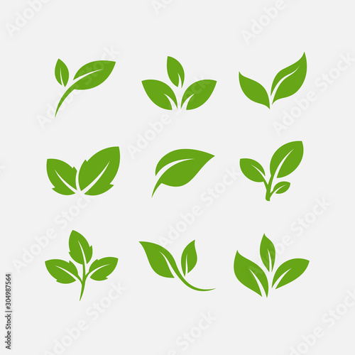 Fotomural Green leaf ecology nature element vector icon, Leaf Icon, green leaf ecology nat