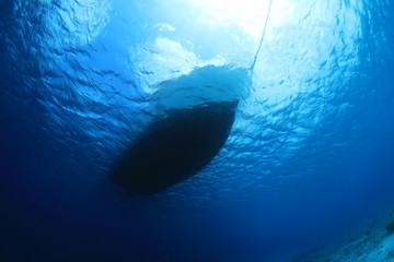 Wall Mural - Underwater part of tourist ship