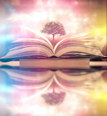 Poster - education concept with tree of knowledge planting on opening old big book in library with textbook, 