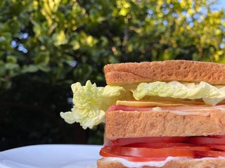 Close up image of a very fresh homemade sandwich. It’s looking tasty and healthy. 