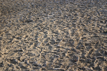 sand covered with frost on an autumn morning