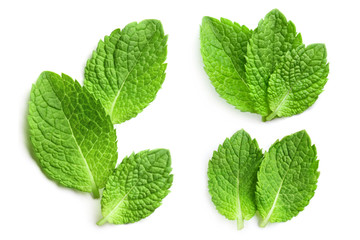 Set of delicious mint leaves, isolated on white background