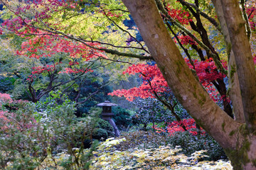 Sticker - Zoomed Pagoda in the Trees