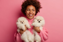 Image Of Merry Dark Skinned Woman With Broad Smile, Bought Pedigree Spitz Dogs In Pet Shop, Looks Gladfully Aside, Has Fun With Lovely Animals, Participate In Dogshow, Isolated On Pink Studio Wall