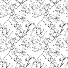 Wall Mural - Vector Magnolia floral botanical flowers. Black and white engraved ink art. Seamless background pattern.