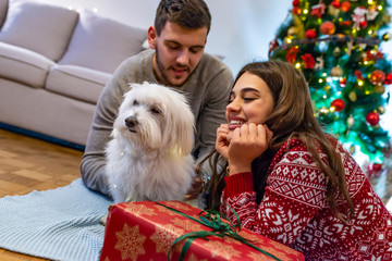  Young laughing couple in sweaters sitting on carpet near fir tree with dog and holding presents.
