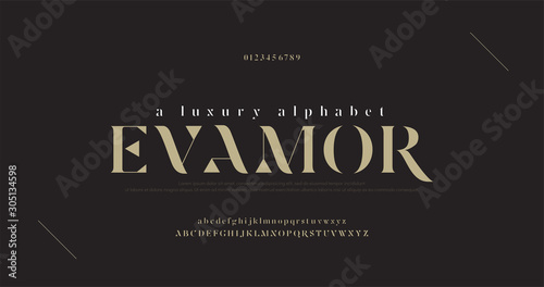 Cuadros en Lienzo Elegant luxury alphabet letters font and number