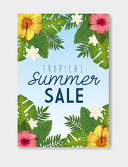 Canvas Print - tropical summer sale with frame and flowers vector illustration design