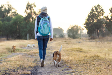 Young woman walks with her beagle dog at meadow 