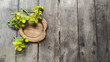 senna siamea of flower on wood background