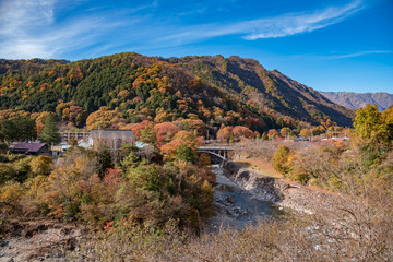 Wall Mural - 田舎の風景　紅葉