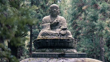 Sir Buddha