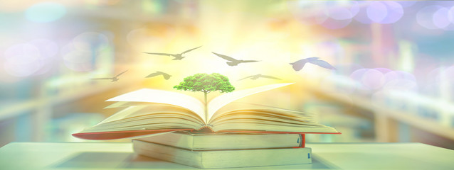 Poster - The concept of education by planting a tree of knowledge in the opening of an old book in the library and the magical magic of light that flies to the destination of success. Beautiful background