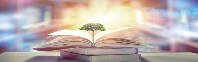 Poster - The blurred book that is bewitched with magic, the magic light in the dark, with the bright light shining down as the power to search for knowledge. For research and use as a blurred background