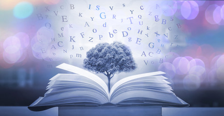 Poster - Imagine opening an old book blurred with magic power on the table and the English alphabet floating above the book with magic light as a beautiful background design.
