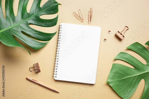 Cuadros en Lienzo Flat lay mock up of monstera leaves with elegant business accessories on color space background
