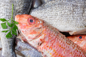 Poster - top view of varied fresh fish